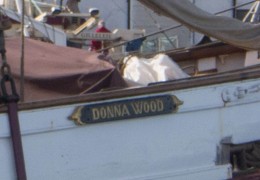 Donna Wood 13. marts 2015