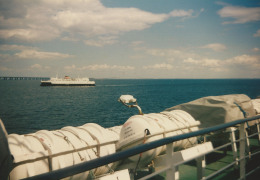 Knudshoved 2. august 1996