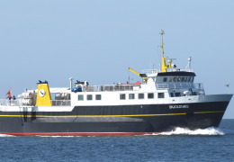 Skjoldnæs 2013