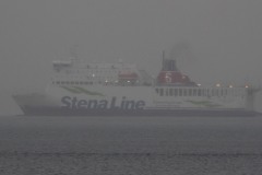 Stena Vinga 7. august 2021