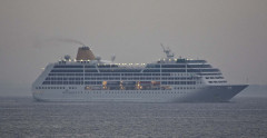 Adonia 19. juni 2013