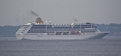 Adonia 19. juni 2013