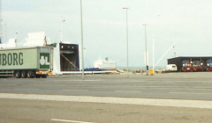 Maren Mols i sommeren 1993