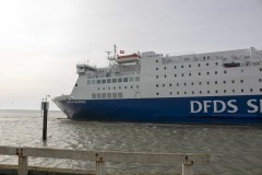 Sirena Seaways 24. februar 2014