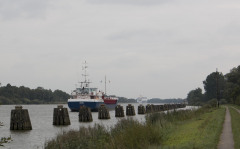 Adonia 22. august 2014