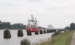 Adonia 22. august 2014