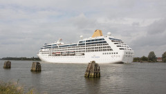 Adonia 22. august 2014