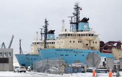 Mærsk Supplier 2016-01-17