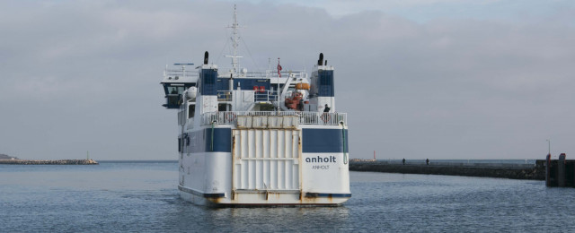 Anholt 21. februar 2014