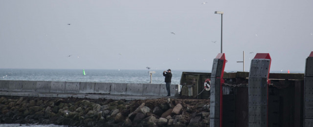 Anholt 21. februar 2014