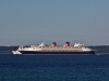 Disney Magic