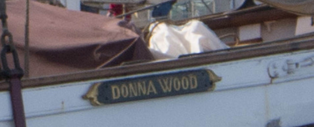 Donna Wood 13. marts 2015