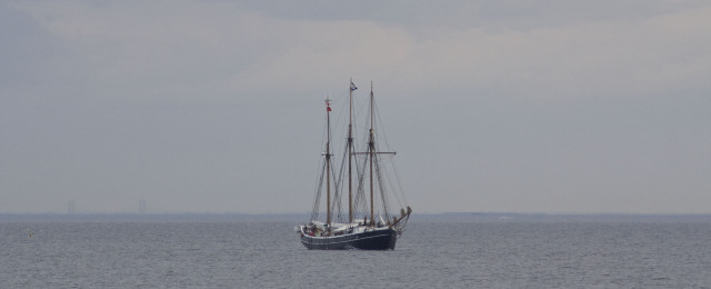 Fulton ved Snekkersten uden for Helsingør 25. maj 2013