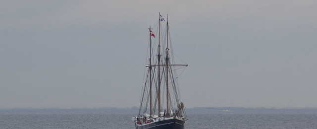 Fulton ved Snekkersten uden for Helsingør 25. maj 2013